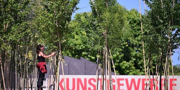 «Betonwüste» wird grün: 200 Bäume auf Berliner Kulturforum