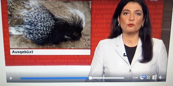 TV-Moderatorin Manina Ferreira-Erlenbach gestorben! Hundebetreuerin alarmierte die Feuerwehr