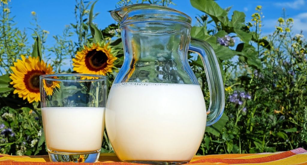 Gesundheit - Statt Kuhmilch: Darauf sollten Sie bei Milch-Alternativen achten!