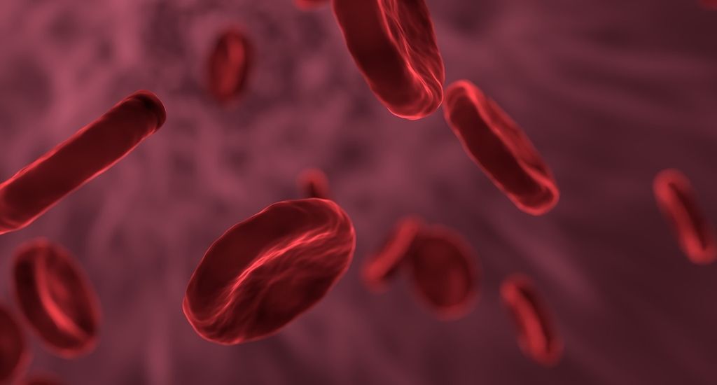 Vorhersage aus dem Blut- Metabolomanalyse verrät Risiko für mehrere Krankheiten gleichzeitig