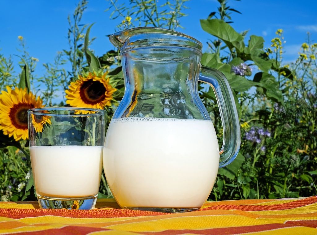 Gesundheit - Statt Kuhmilch: Darauf sollten Sie bei Milch-Alternativen achten!