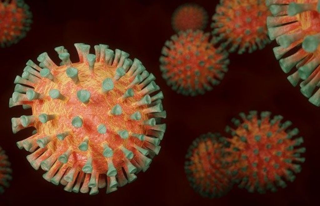 Charité- Frühere Erkältungen verbessern Immunreaktion gegen SARS-CoV-2