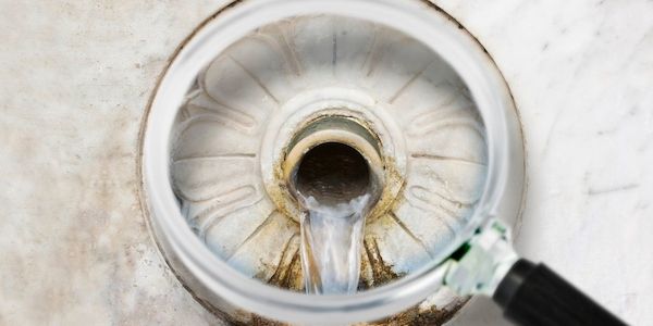 Trinkwasser und Legionellen-Prüfung: So lassen sich unerwartete Kosten vermeiden