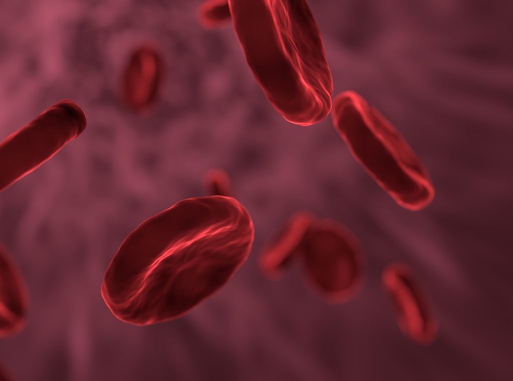 Vorhersage aus dem Blut- Metabolomanalyse verrät Risiko für mehrere Krankheiten gleichzeitig
