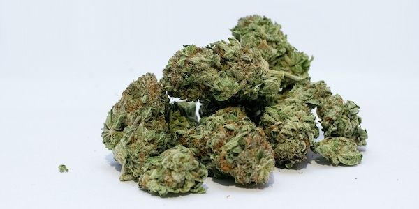 ARAG: Experten zum aktuellen Stand der Legalisierung von Cannabis!