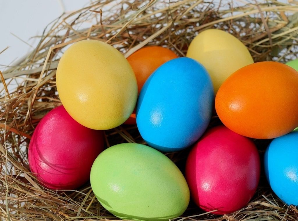 ARAG: Warum manche Eier grün sind- Der Fakten-Check!