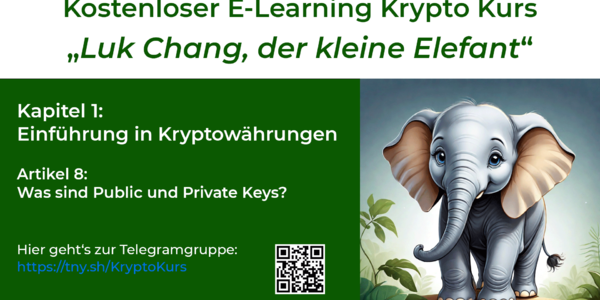 Krypto Kurs 01 | 08: Was sind Public und Private Keys?