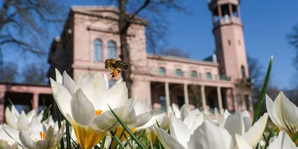 Frühlingshafter Dienstag in Berlin und Brandenburg