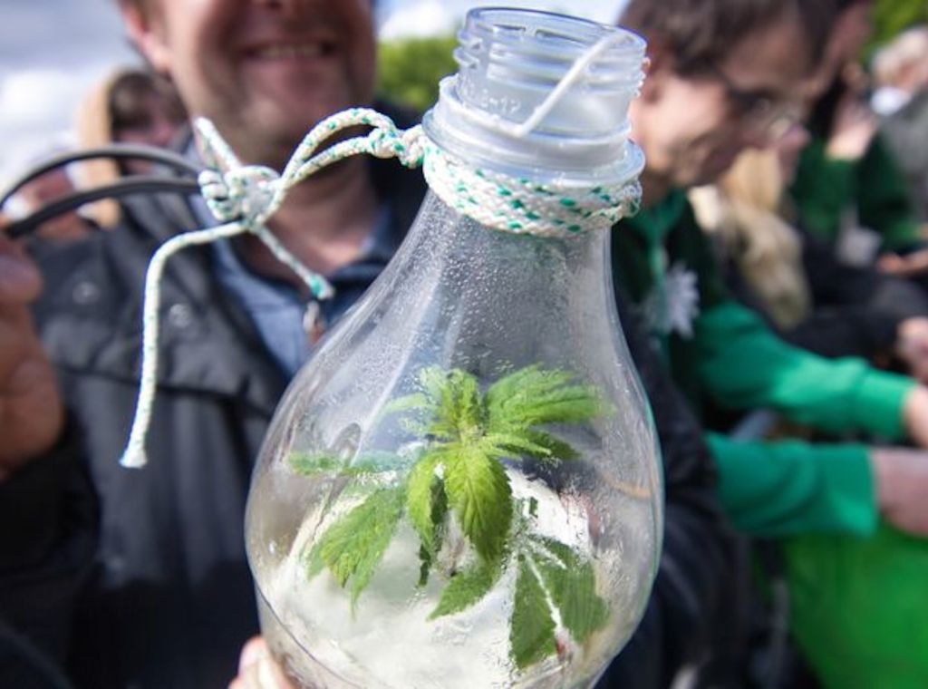 Etwa 4000 Menschen feiern Cannabis-Legalisierung am Brandenburger Tor