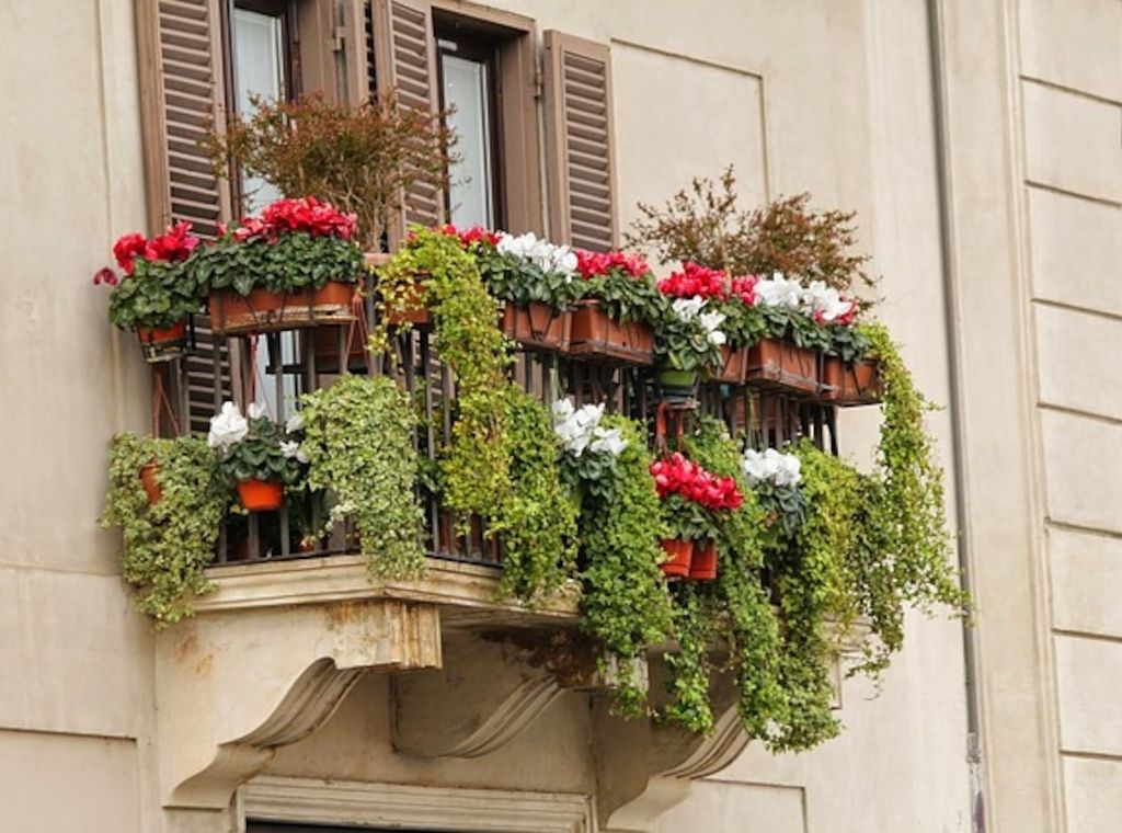 Experten mit Tipps zur Bewässerung von Balkon und Garten