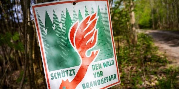 Mehrere Waldbrände in Brandenburg ausgebrochen