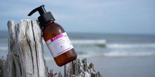 Bio Shampoo Sandelholz Hirse - bei Haarausfall & brüchigem Haar