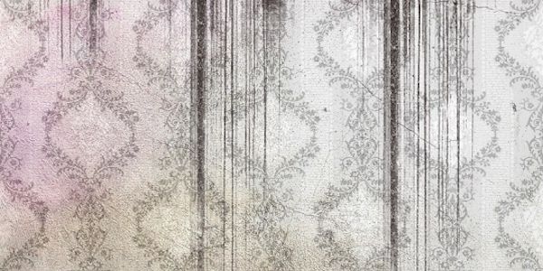 Schimmelalarm: Rechtliches bei Schimmel in der Wohnung