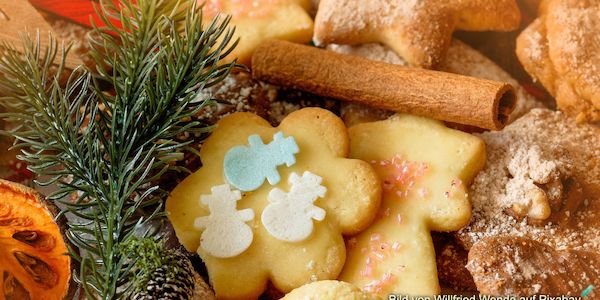 Schlupfwespen von Mottenshop24 - Die natürliche Lösung gegen Lebensmittelmotten