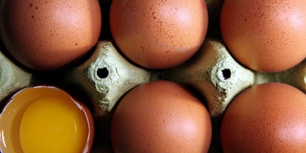 Eierproduktion gestiegen