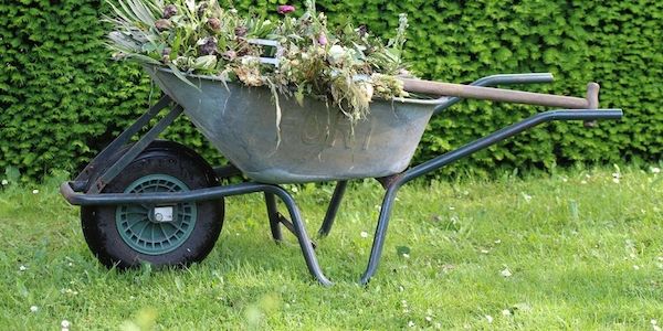 ARAG über Zoff im Grünen - Mietern darf der Außenwasserhahn nicht einfach abgedreht werden