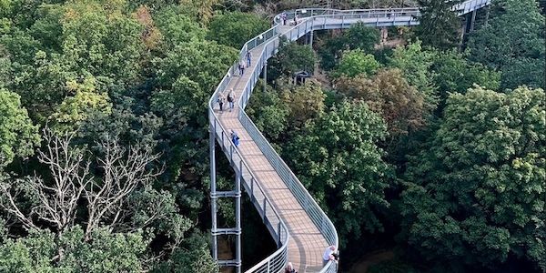 Jahresrückblick und Ausblick: Berliner Assekuranz-Club
