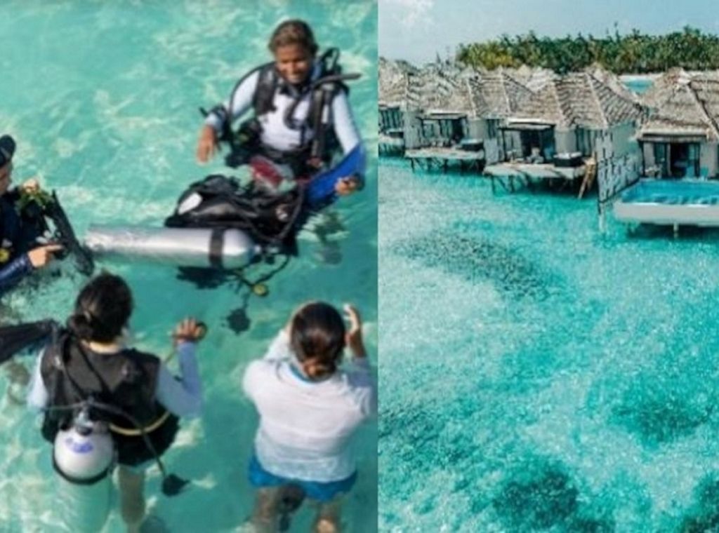 Ocean Adventure Week 2025: Nova Maldives & PADI laden vom 13. bis 20. Juli zum Tauchen mit India Black!