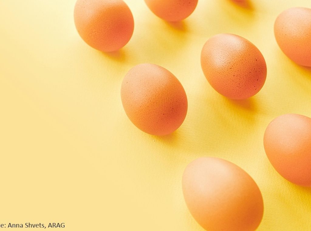 ARAG: Arbeiten am Ostersonntag - Feiertagszuschlag oder nicht?