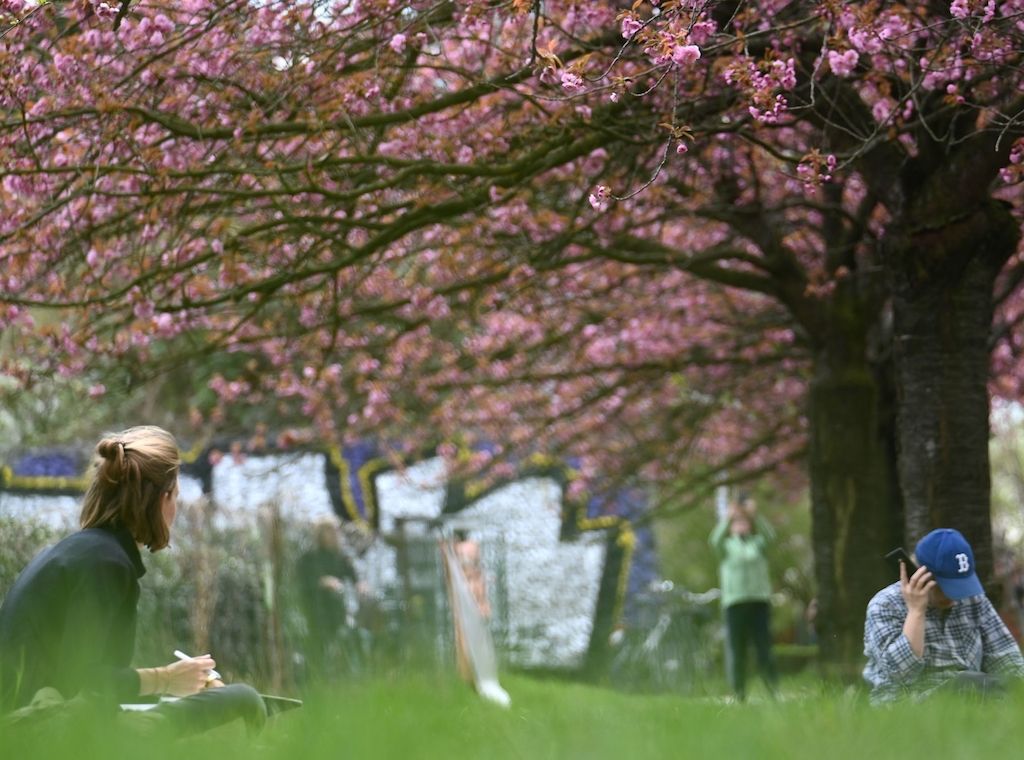 Knapp 30 Grad in Berlin und Brandenburg - Schauer zu Ostern