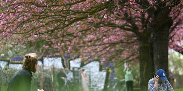 Knapp 30 Grad in Berlin und Brandenburg - Schauer zu Ostern