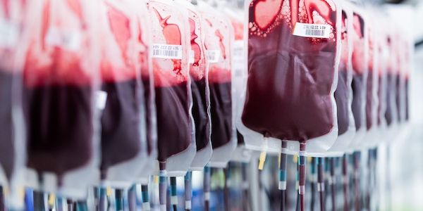 Rotes Kreuz ruft Berliner und Brandenburger zu Blutspenden über Ostern auf!