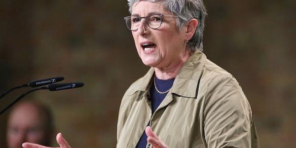 Haßelmann warnt vor "Normalisierung" der AfD im Bundestag