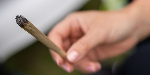 Deutlich weniger Cannabis-Straftaten in Berlin