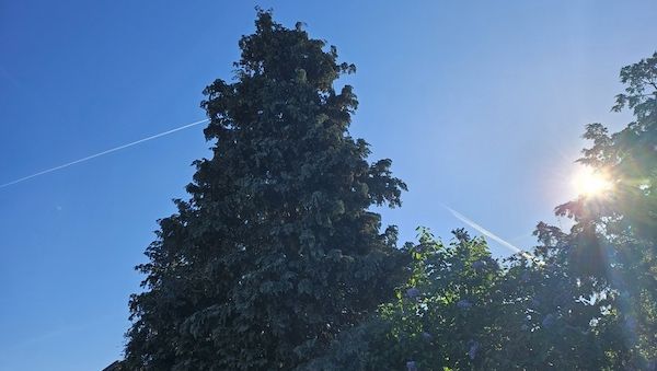 Wetterbericht für Baden-Württemberg (02.05.2025)