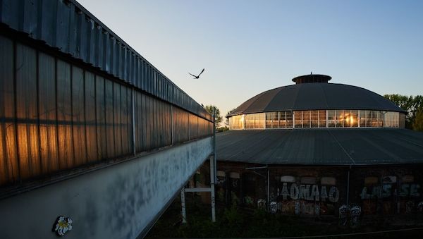 Nachtigall, Schwalbe und Kuckuck sind schon in Berlin zurück