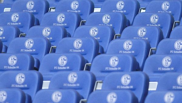 Schalke stellt Trainer van Wonderen sofort frei