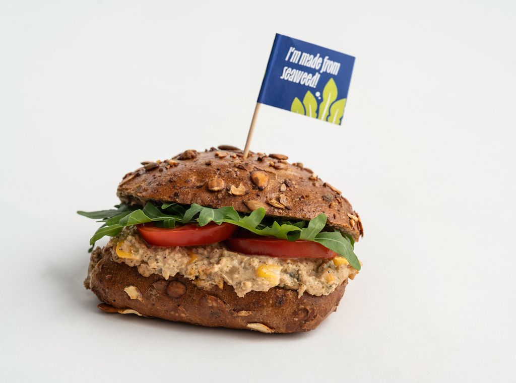 Vom Meeresgrund in die Backstube: Bäcker Wiedemann bringt Algen aufs Brötchen