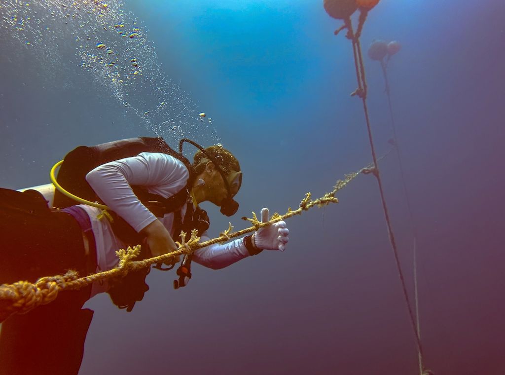 Das Nova Maldives setzt auf innovatives Umweltprojekt: „Floating Nursery“ im Korallen-Krankenhaus