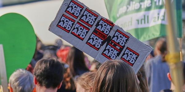 Insa: Mehrheit für AfD-Verbot