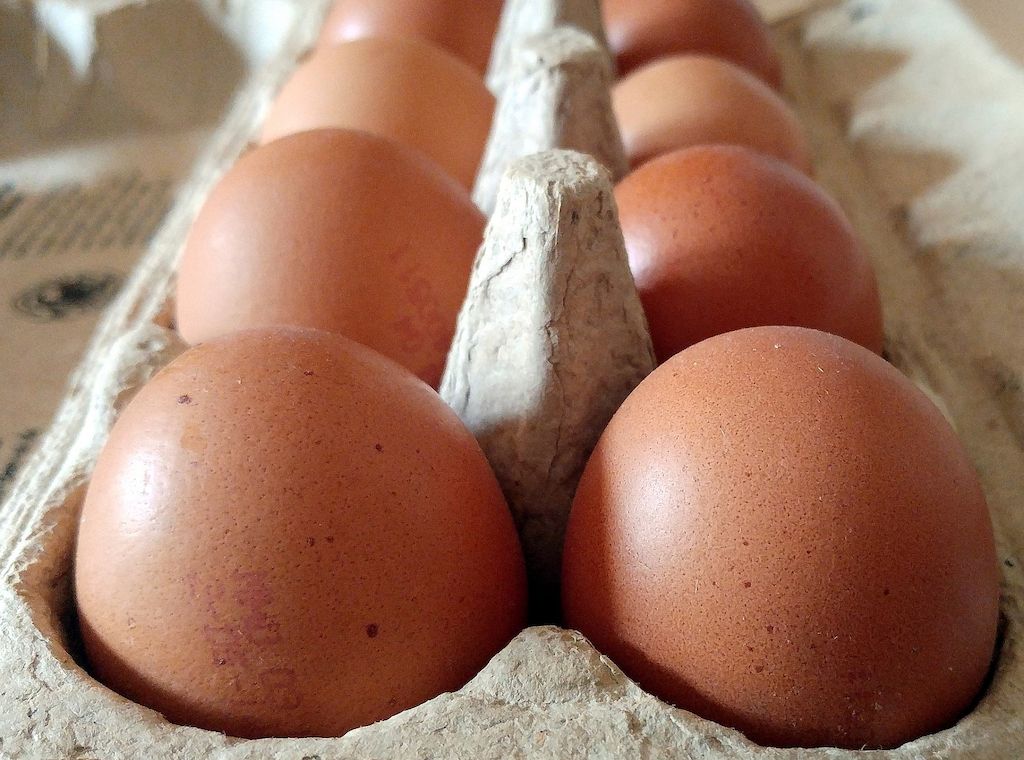 Kein Eiermangel zu Ostern: Geflügelwirtschaft gibt Entwarnung