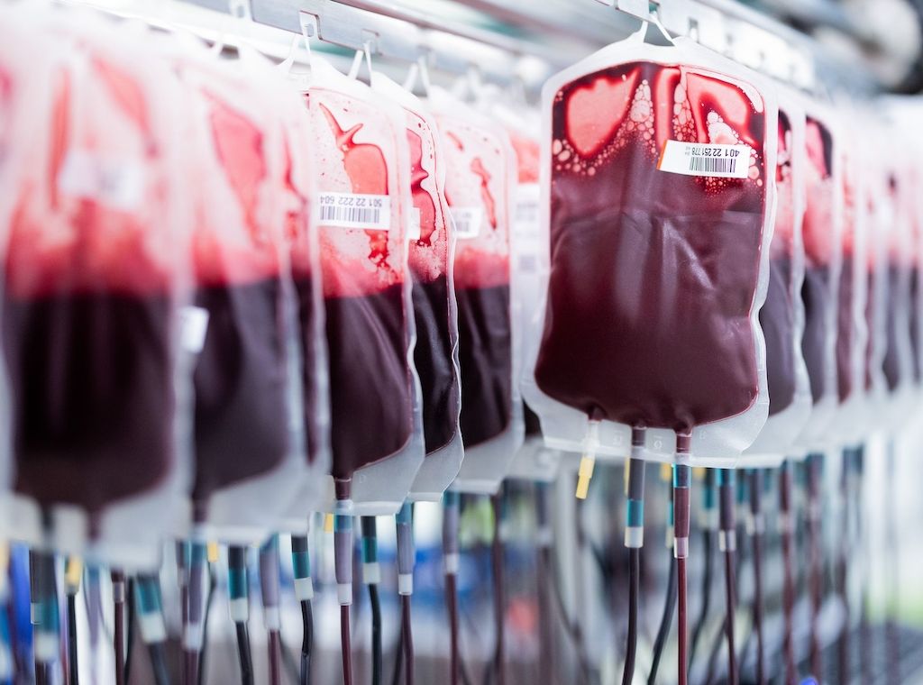 Rotes Kreuz ruft Berliner und Brandenburger zu Blutspenden über Ostern auf!