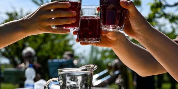 Baumblütenfest in Werder startet am 26. April 