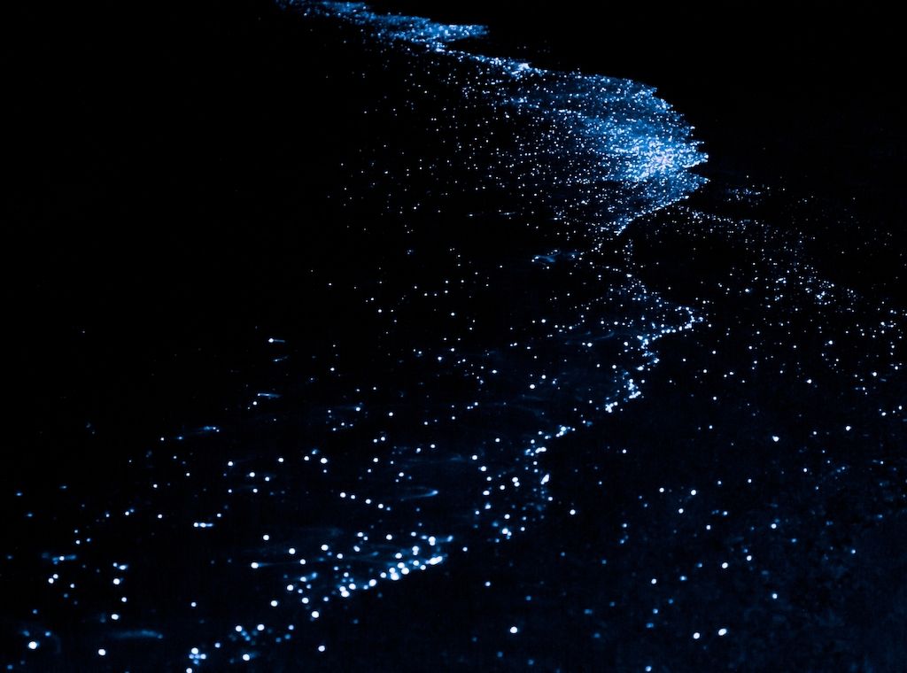 Noctourismus-Abenteuer im Nova Maldives: Leuchtende Strände, klarer Sternenhimmel, fluoreszierendes Schnorcheln & nächtliche Tauchgänge