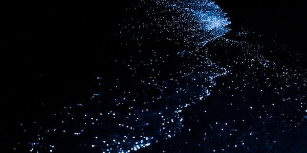 Noctourismus-Abenteuer im Nova Maldives: Leuchtende Strände, klarer Sternenhimmel, fluoreszierendes Schnorcheln & nächtliche Tauchgänge
