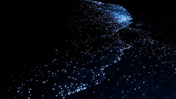 Noctourismus-Abenteuer im Nova Maldives: Leuchtende Strände, klarer Sternenhimmel, fluoreszierendes Schnorcheln & nächtliche Tauchgänge