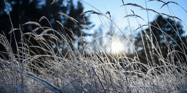 Deutsche Wetterdienst warnt vor Frost: Bis zu -9 Grad in Brandenburg