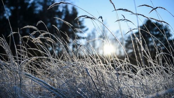 Deutsche Wetterdienst warnt vor Frost: Bis zu -9 Grad in Brandenburg