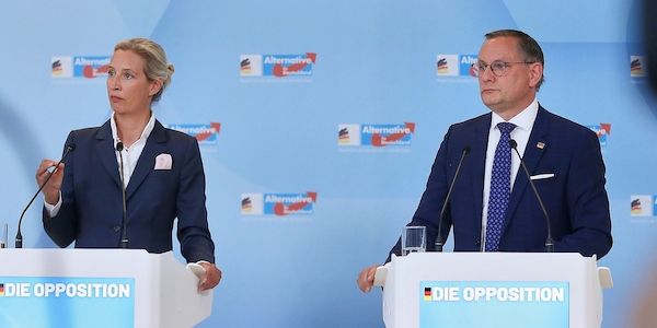 Insa: AfD verliert nach Einstufung als "rechtsextremistisch"