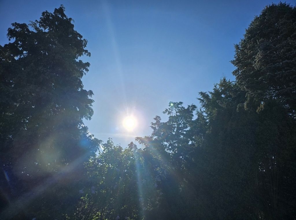 Leicht wechselhaftes und kühles Wetter in Niedersachsen und Bremen