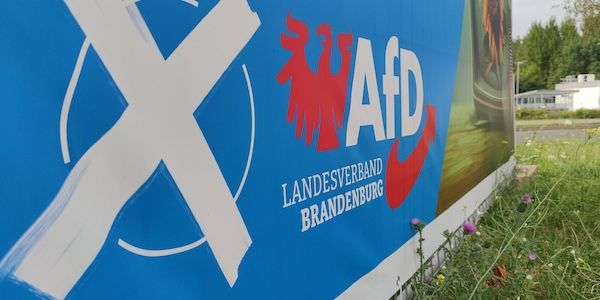 Bericht: Verfassungsschutz stuft AfD Brandenburg als rechtsextrem ein