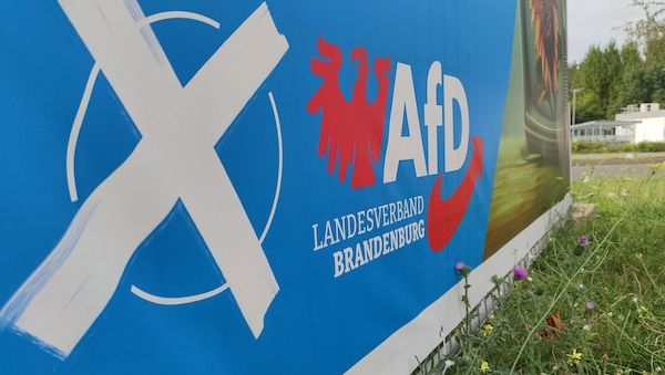 Bericht: Verfassungsschutz stuft AfD Brandenburg als rechtsextrem ein
