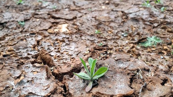 Vergangener Monat war zweitheißester April seit Aufzeichnungsbeginn