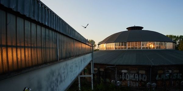 Nachtigall, Schwalbe und Kuckuck sind schon in Berlin zurück