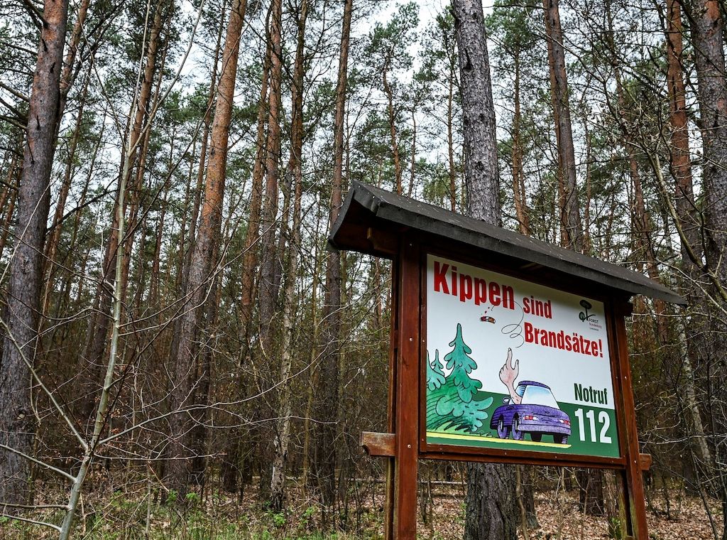 Hohe Waldbrandgefahr in Teilen Brandenburgs