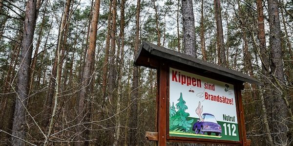 Hohe Waldbrandgefahr in Teilen Brandenburgs